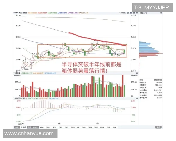 武汉飞盘队与北京飞盘队赛后复盘分析团队配合与战术执行的关键因素